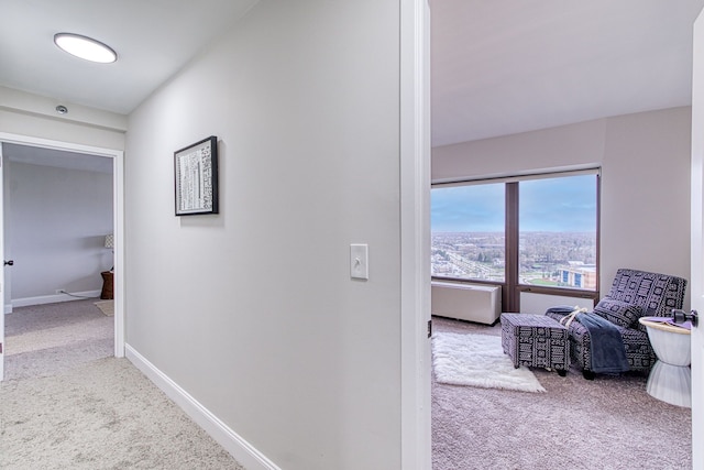 5000 Town Ctr Unit 2205, Southfield, MI 48075 - hallway with carpet floors and baseboards