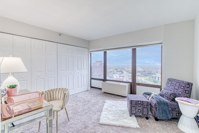 5000 Town Ctr Unit 2205, Southfield, MI 48075 - office featuring carpet floors
