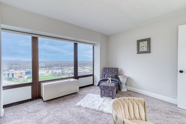 sitting room with light carpet and a wealth of natural light