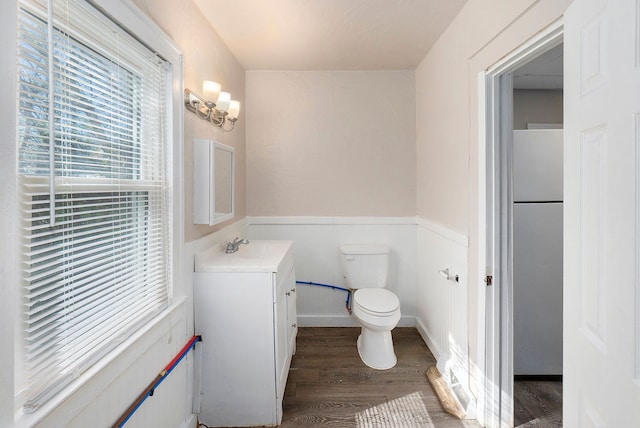 bathroom featuring vanity, toilet, and wood-type flooring