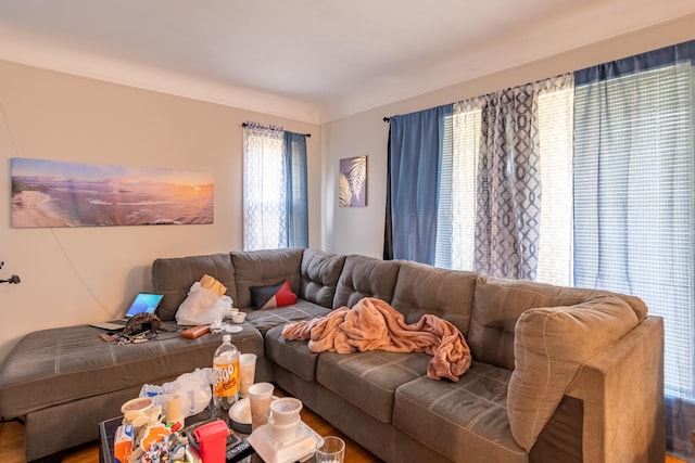 living room featuring hardwood / wood-style floors and a healthy amount of sunlight