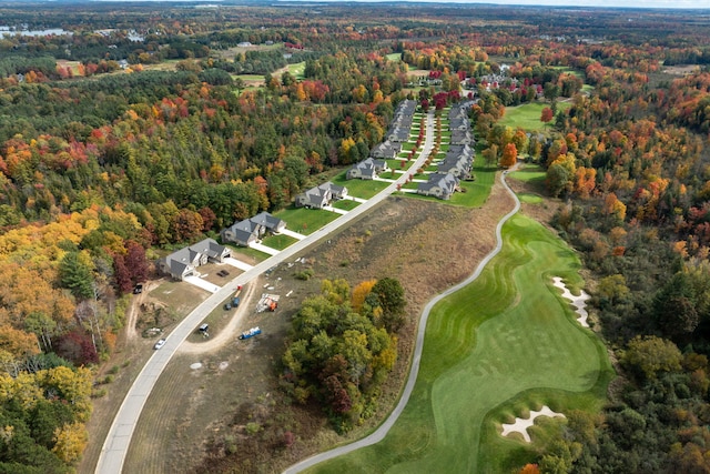 drone / aerial view