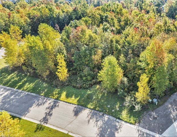 Listing photo 3 for LOT57 Walnut Trl, Grand Blanc MI 48439