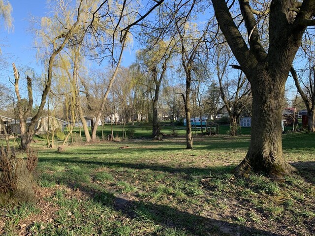 412 N Darling Ave, Fremont, MI 49412 - view of green lawn
