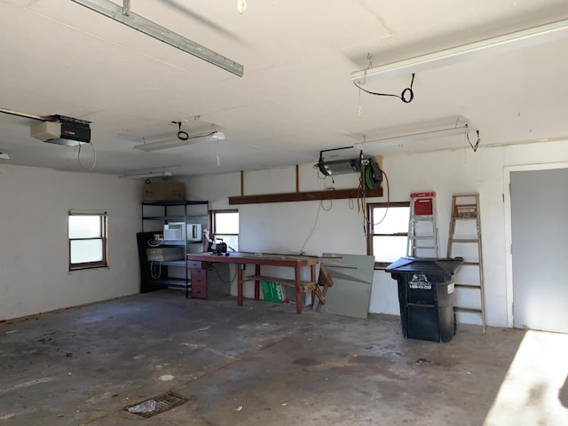 412 N Darling Ave, Fremont, MI 49412 - garage with a garage door opener