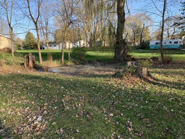 412 N Darling Ave, Fremont, MI 49412 - view of yard