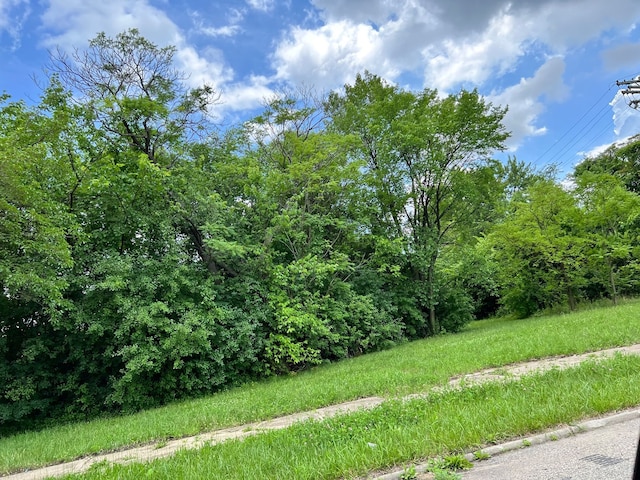 2417 W Edsel Ford Fwy, Detroit MI, 48208 land for sale