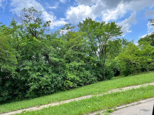 2417 W Edsel Ford Fwy, Detroit, MI 48208 - photo 1