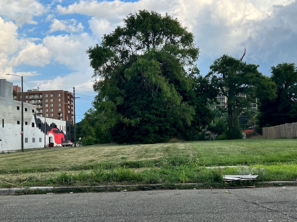 2203 Lothrop St, Detroit, MI 48206