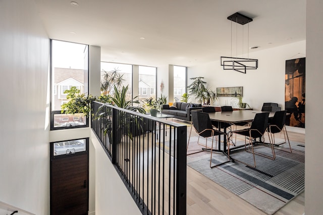 dining room featuring a wall of windows and light hardwood / wood-style flooring