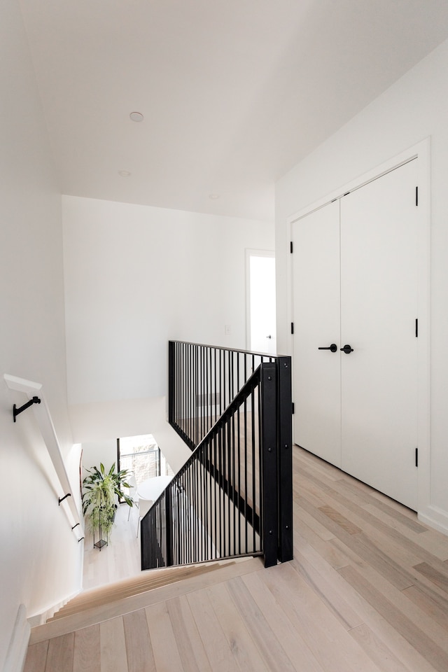 staircase featuring wood-type flooring