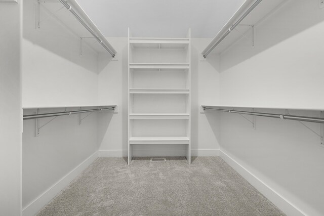 spacious closet with light colored carpet