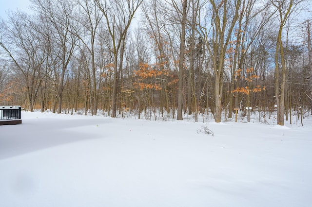 view of yard covered in snow