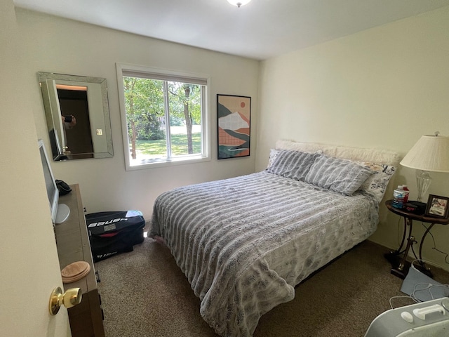 bedroom with carpet floors