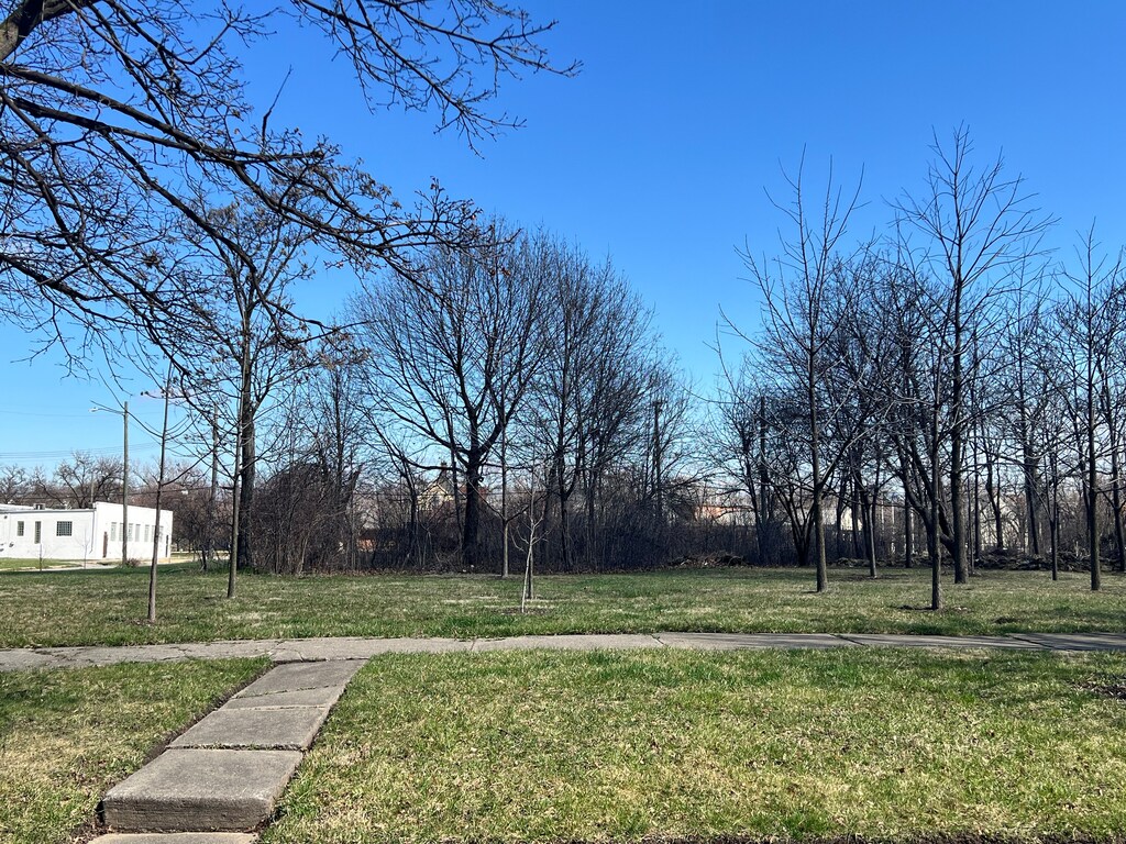 5034 Vermont St, Detroit, MI 48208 - photo 1
