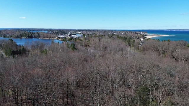 8204 Partridge Woods, Elk Rapids, MI 49629