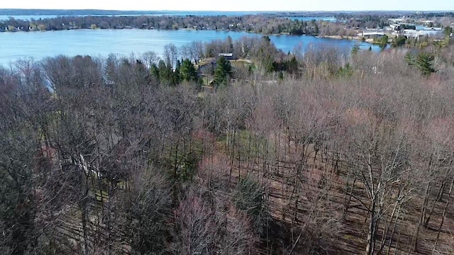 8204 Partridge Woods, Elk Rapids, MI 49629