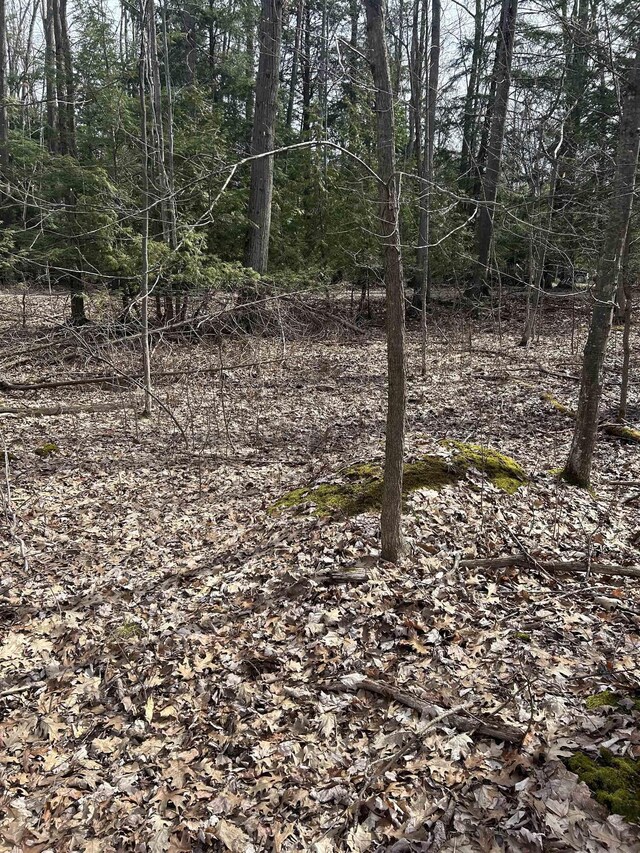 8204 Partridge Woods, Elk Rapids, MI 49629