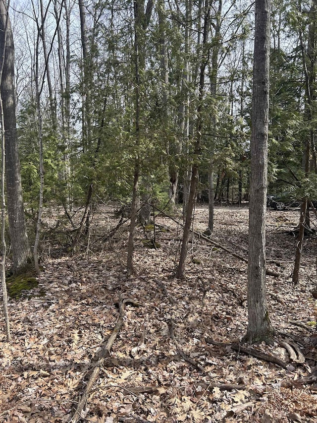 8204 Partridge Woods, Elk Rapids, MI 49629