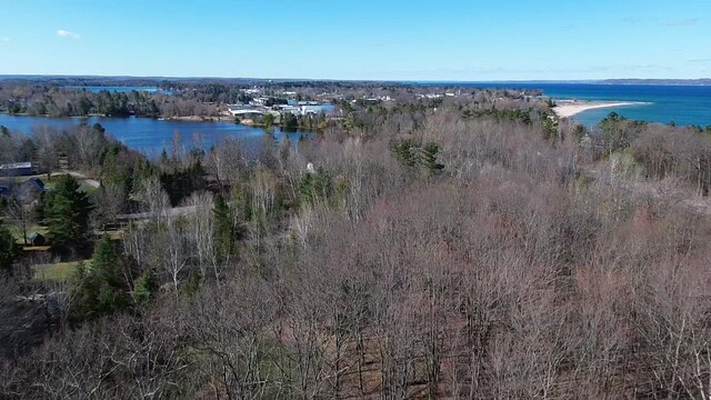 8204 Partridge Woods, Elk Rapids, MI 49629