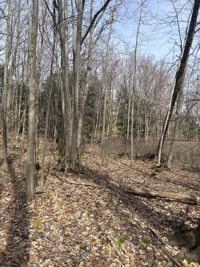 8204 Partridge Woods, Elk Rapids, MI 49629