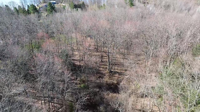 8204 Partridge Woods, Elk Rapids, MI 49629