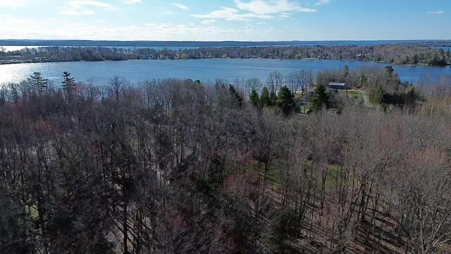 8204 Partridge Woods, Elk Rapids, MI 49629