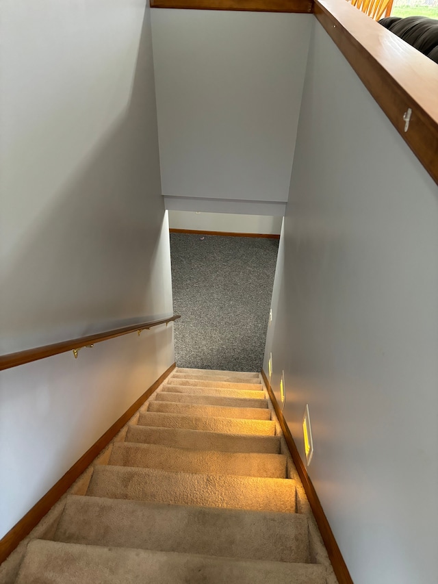 stairs featuring carpet floors