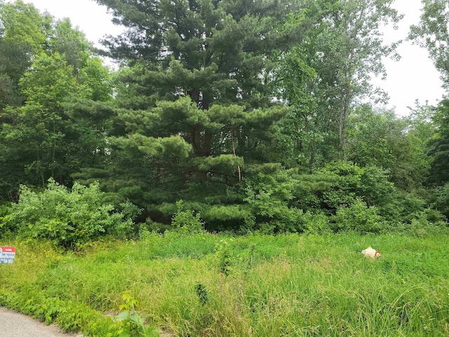 1350 Elm St, Clio, MI 48420