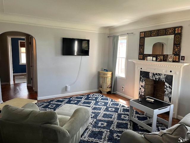 living room with crown molding, a fireplace, and hardwood / wood-style flooring