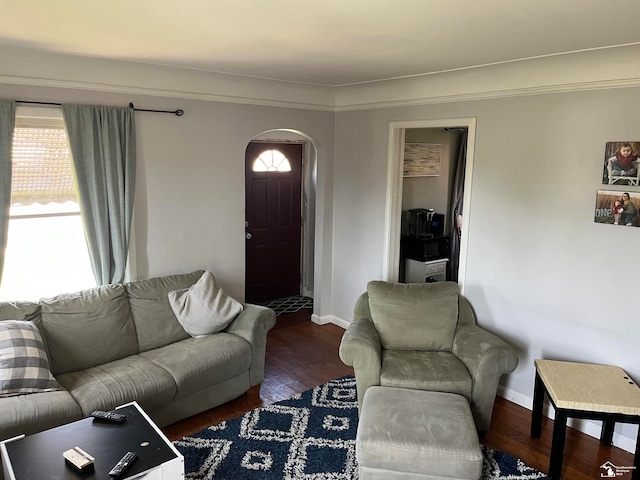 living room with ornamental molding and dark wood-type flooring