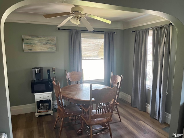 dining space with hardwood / wood-style flooring, plenty of natural light, ornamental molding, and ceiling fan