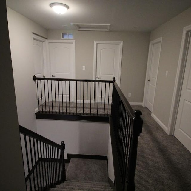 stairway featuring carpet flooring