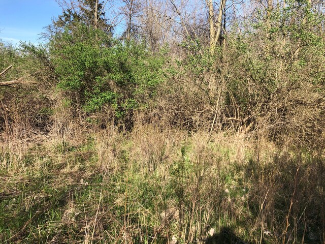 1182 S Morrish Rd, Flint, MI 48532 - photo 8