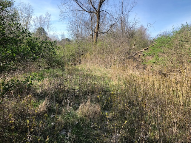 1182 S Morrish Rd, Flint, MI 48532 - photo 7