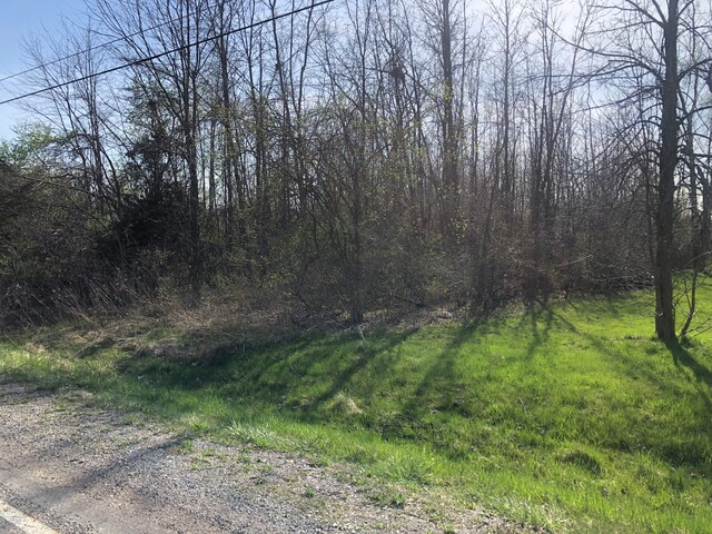 1182 S Morrish Rd, Flint, MI 48532 - photo 5