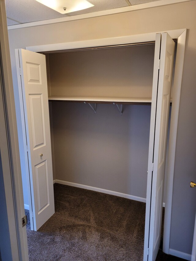 1299 Sand Beach Rd, Bad Axe, MI 48413 - view of closet