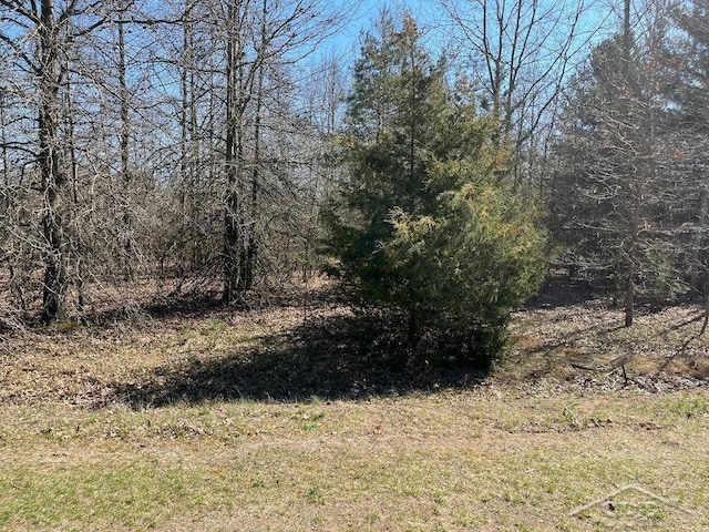 Ring Rd, Saginaw, MI 48655
