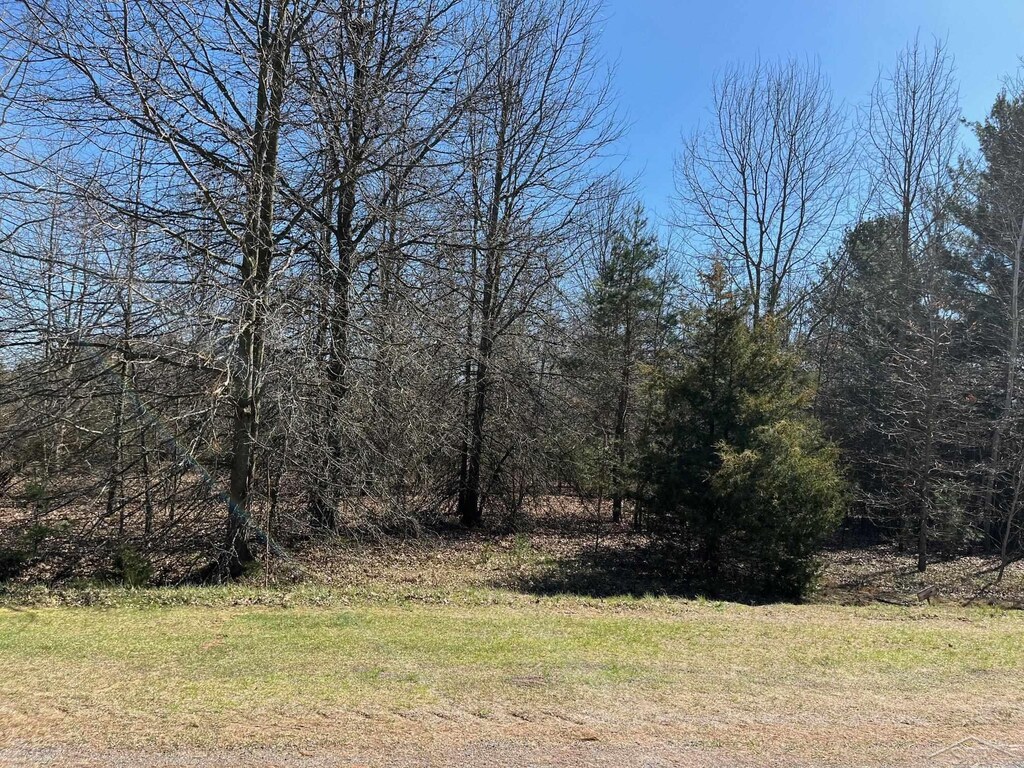 Ring Rd, Saginaw, MI 48655
