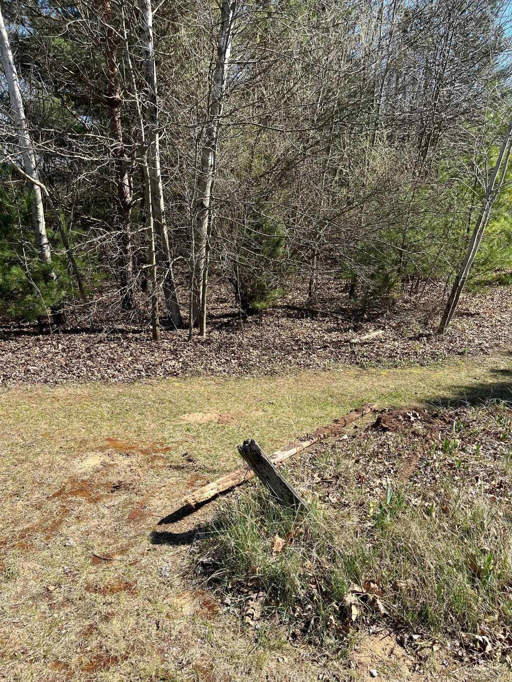 Ring Rd, Saginaw, MI 48655