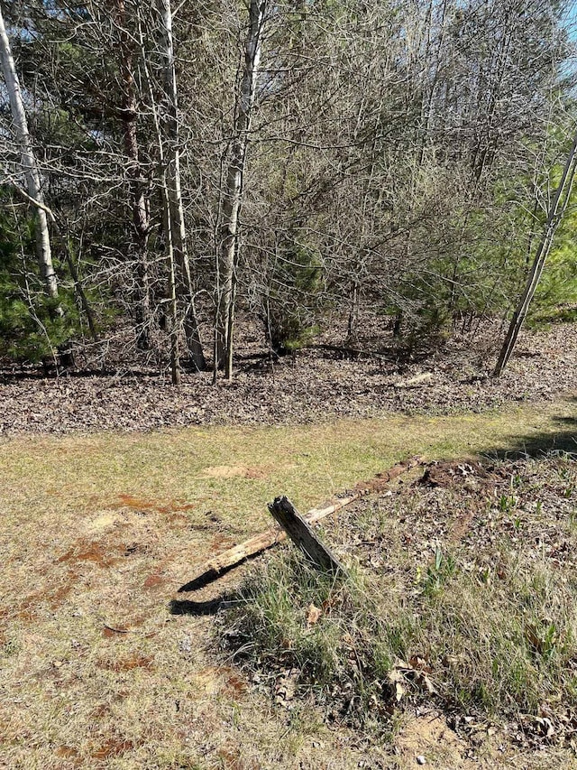 Ring Rd, Saginaw, MI 48655
