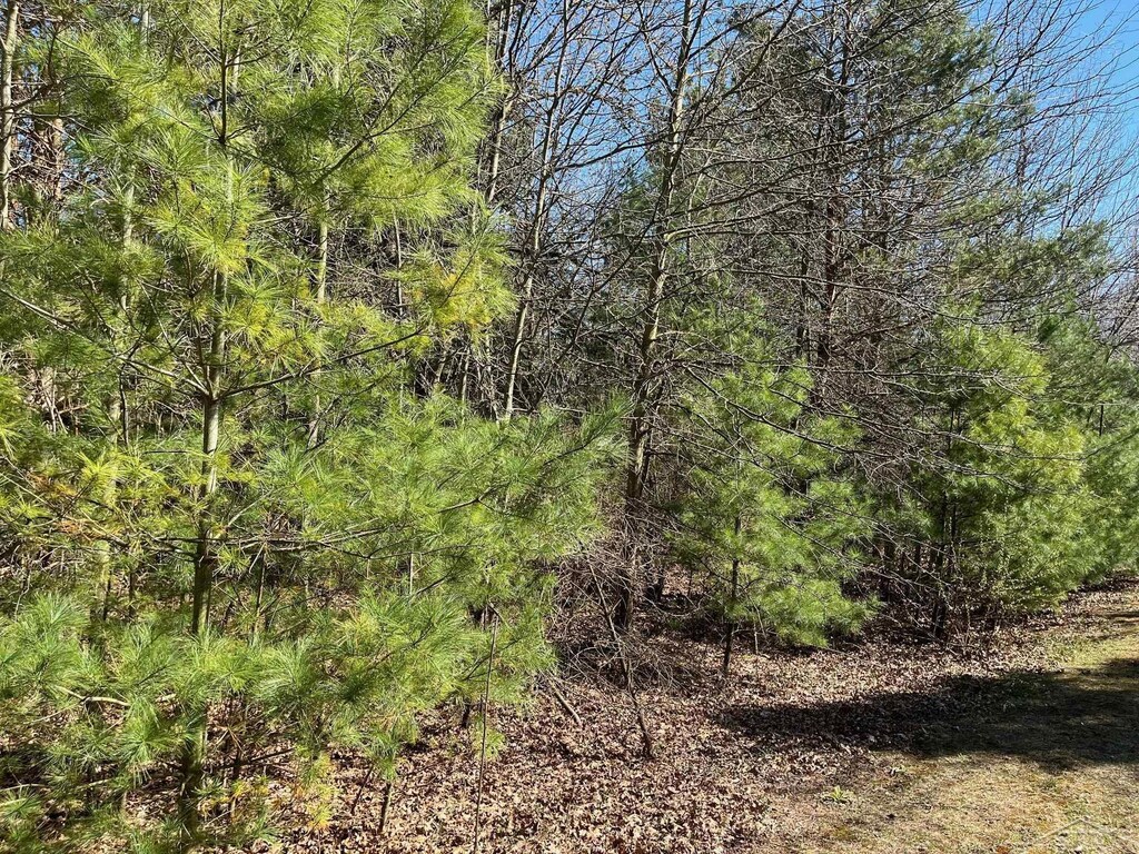 Ring Rd, Saginaw, MI 48655