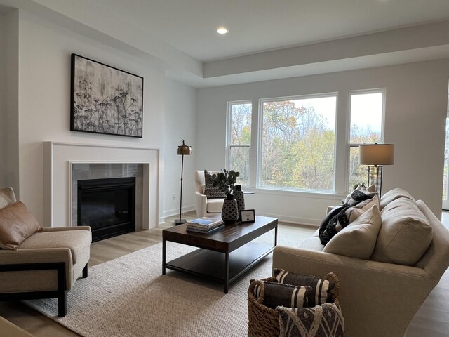 living room with a fireplace and light hardwood / wood-style floors