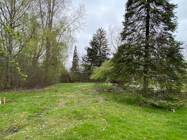 3648 Shallow Brook Dr, Bloomfield Hills, MI 48302 - photo 11