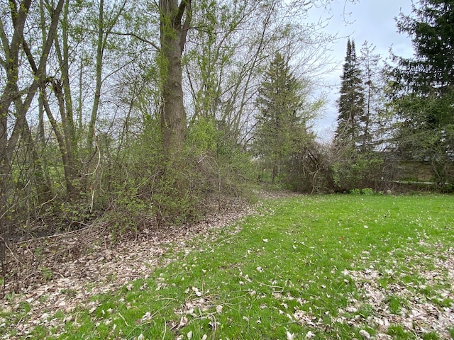 3648 Shallow Brook Dr, Bloomfield Hills, MI 48302 - photo 10