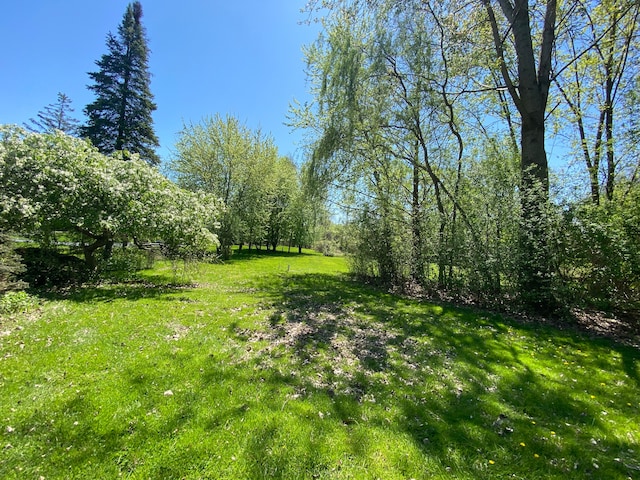 3648 Shallow Brook Dr, Bloomfield Hills, MI 48302 - photo 1
