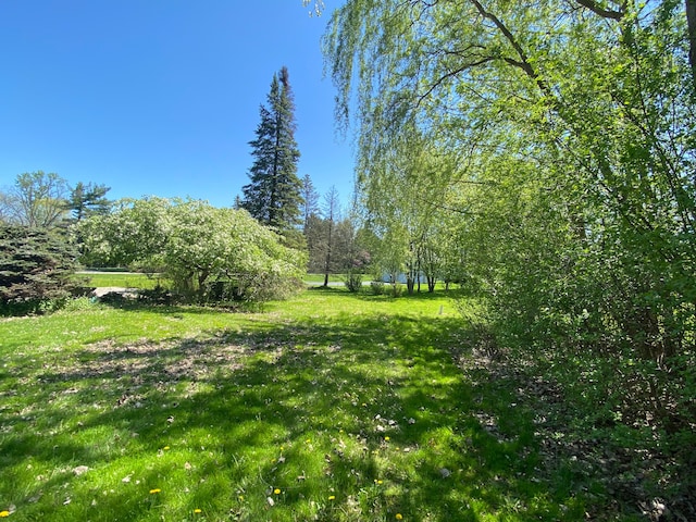 3648 Shallow Brook Dr, Bloomfield Hills, MI 48302 - photo 4