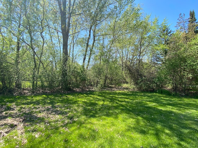 3648 Shallow Brook Dr, Bloomfield Hills, MI 48302 - photo 3