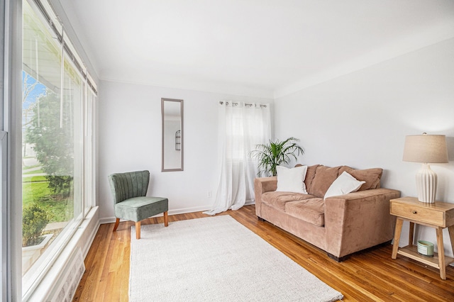 living room with wood-type flooring and a healthy amount of sunlight