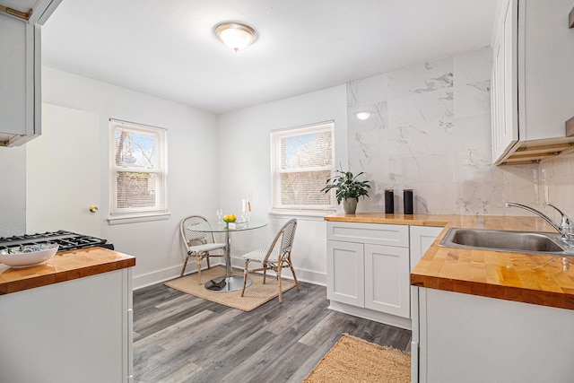 kitchen featuring a healthy amount of sunlight, wood-type flooring, sink, and wooden counters